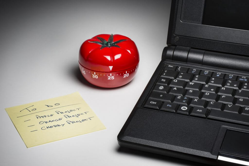 Time Management for Homeschoolers student.
